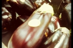 124ec59ed24c4e1c928c1ea67ec9ee55_7